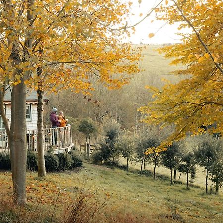 Cottage Orne Long Bredy ภายนอก รูปภาพ