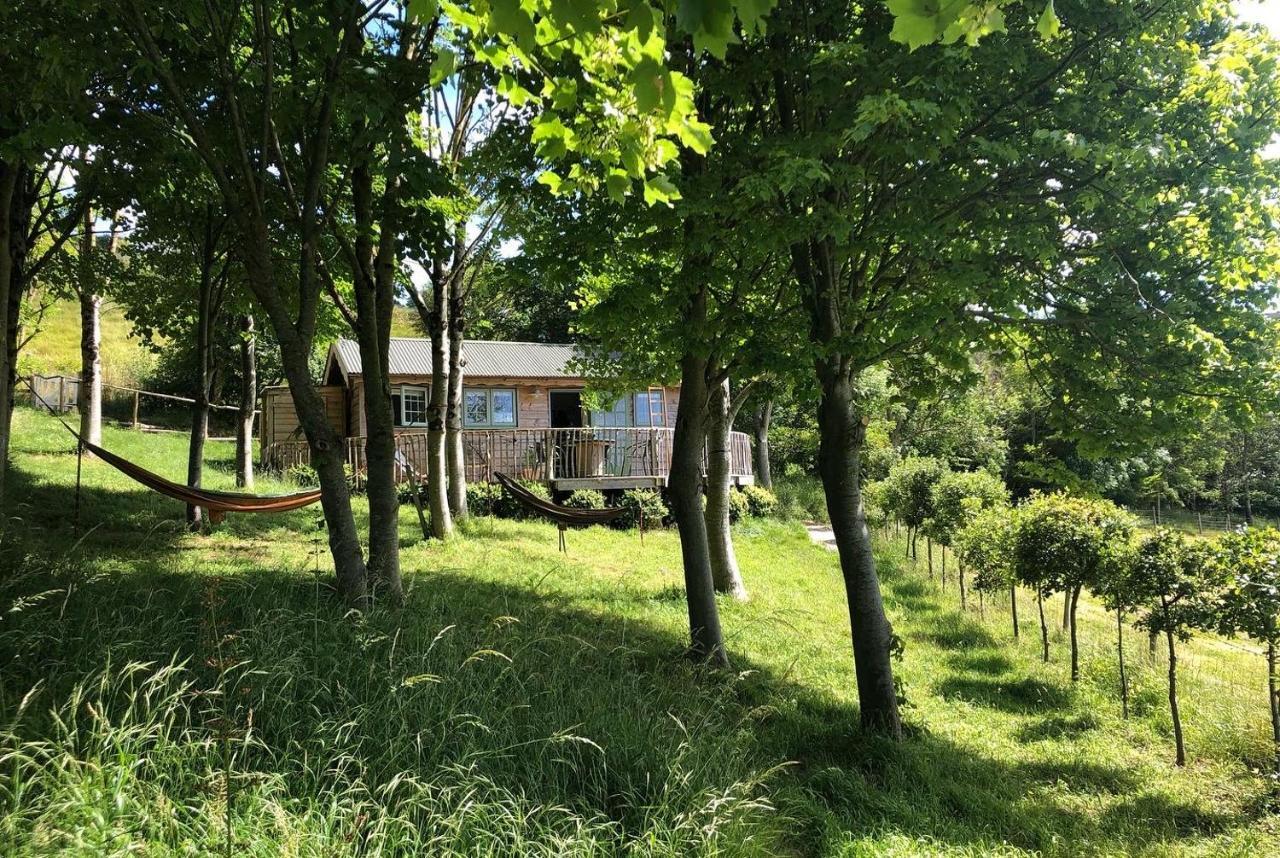 Cottage Orne Long Bredy ภายนอก รูปภาพ