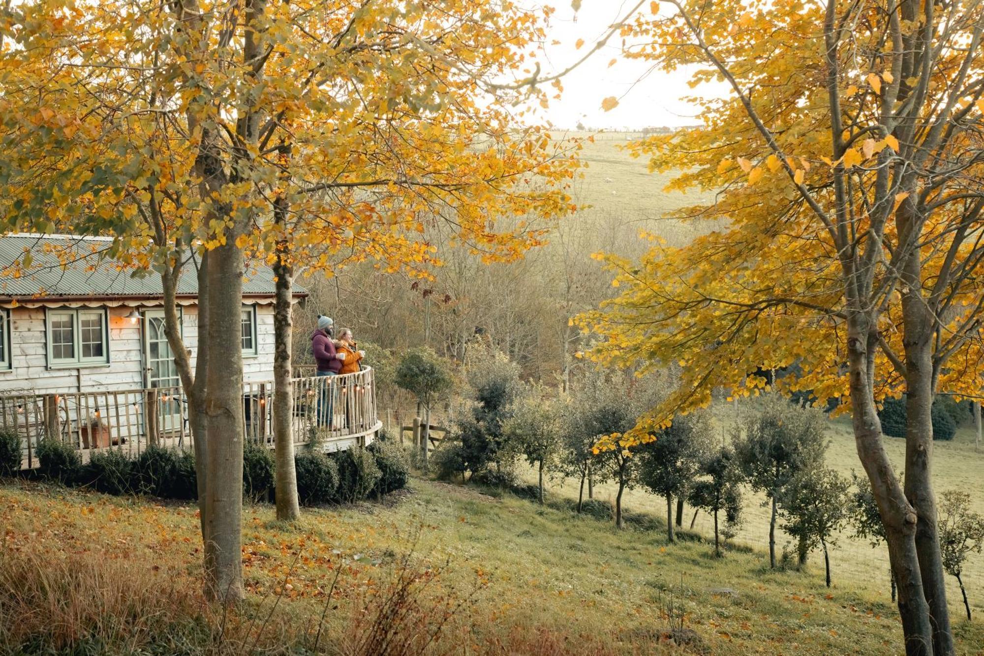 Cottage Orne Long Bredy ภายนอก รูปภาพ
